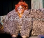 Cats-012