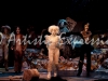Cats-030