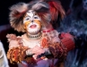 Cats-070