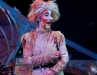 Cats-074