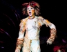 Cats-078