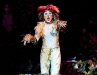 Cats-081