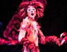 Cats-083