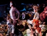 Cats-102