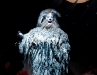 Cats-107