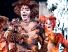 Cats-108
