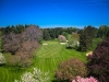 Golf-Aerials-4.jpg